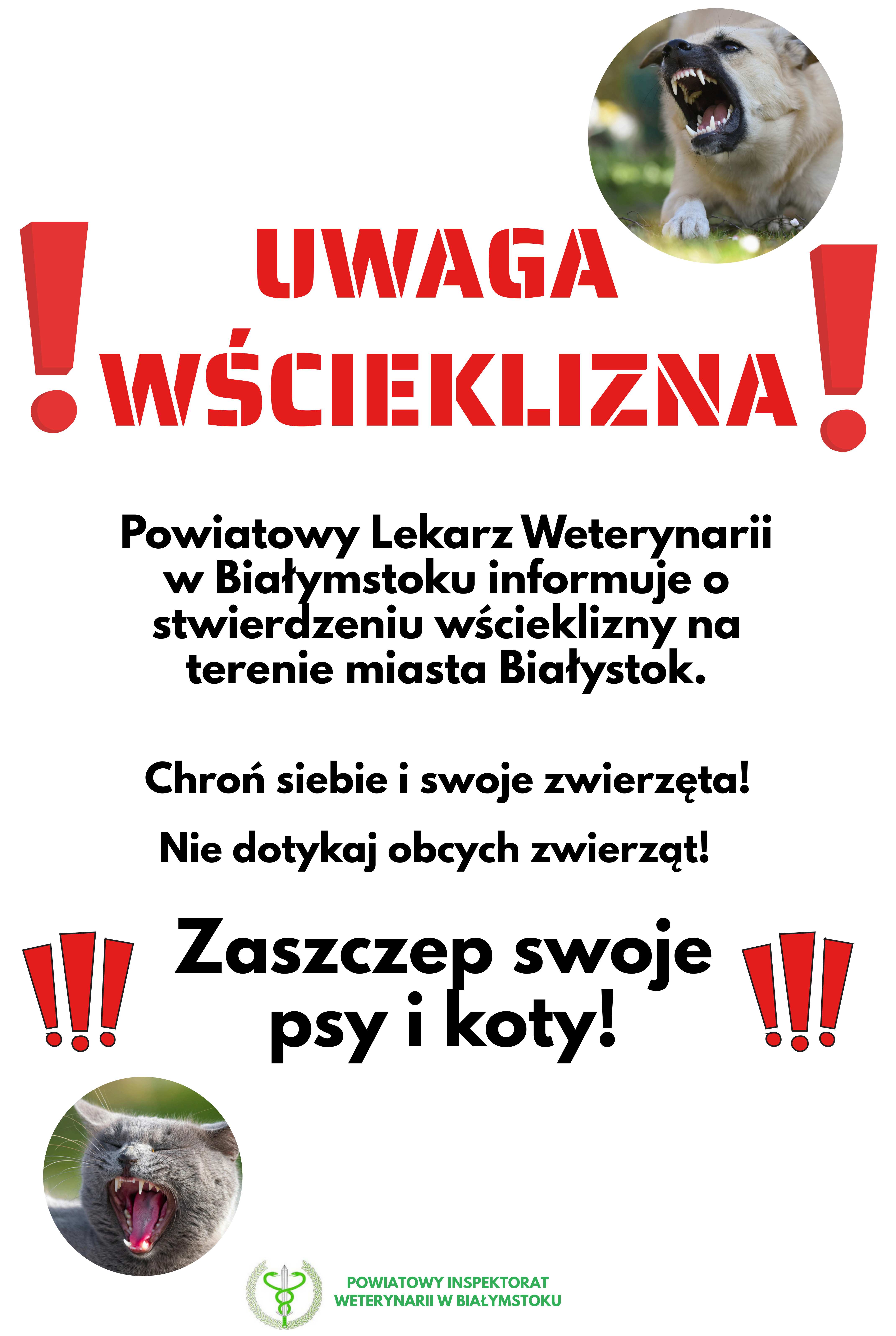 Popup Image